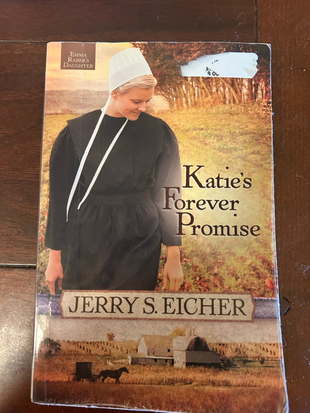 Katie's Forever Promise by Jerry S. Eicher - black cover
